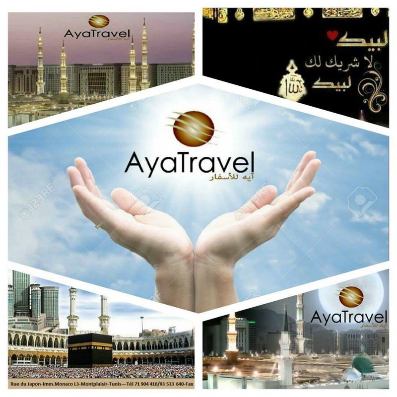 aya travel stipend